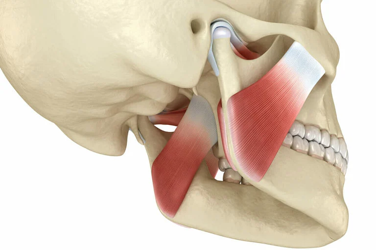 jaw pain in lower part of the jaw, near ears or in different areas